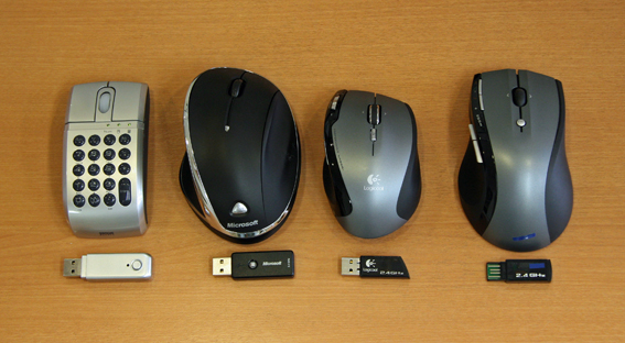 2008mice.jpg