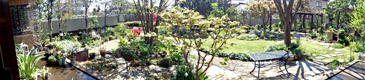 DSC01602.jpg