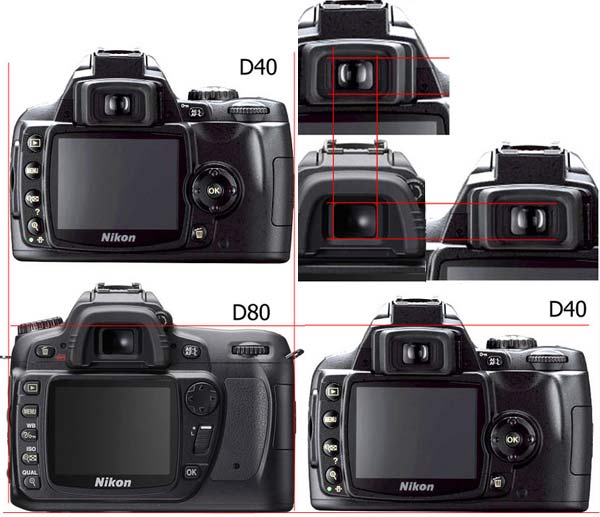 Nikon%20D40%20vs%20D80.jpg